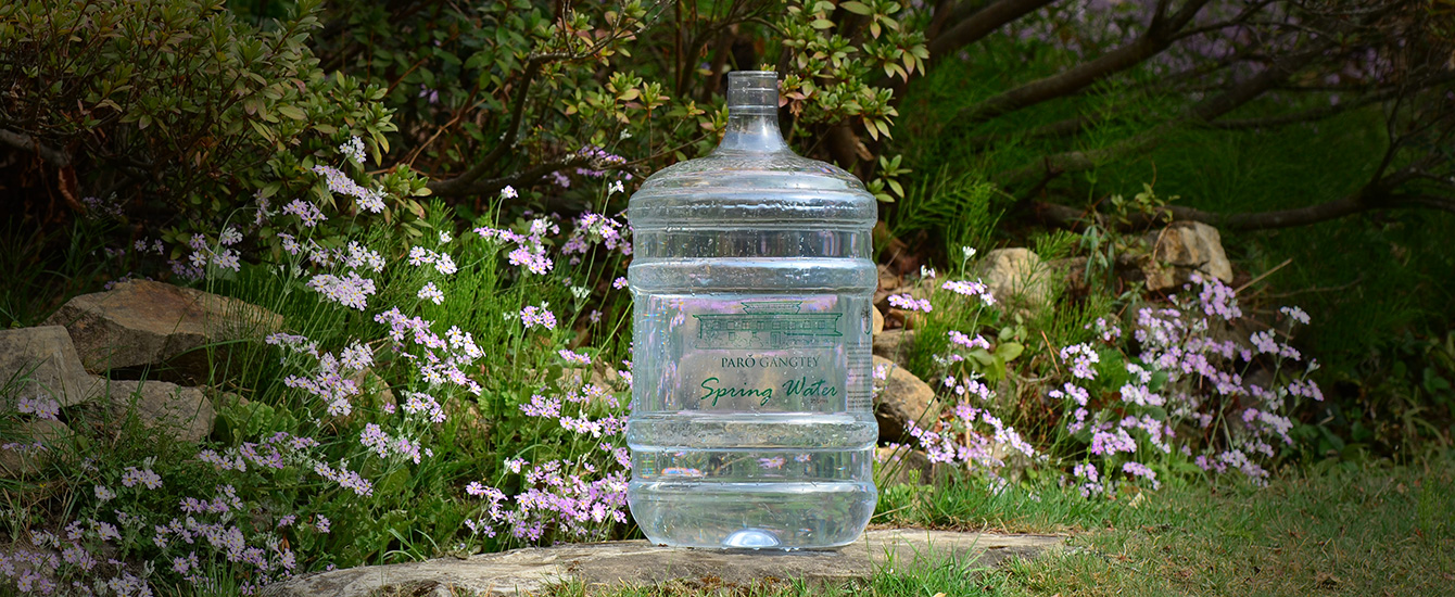 Parŏ Gangtey spring water